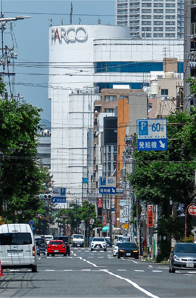 並木通り